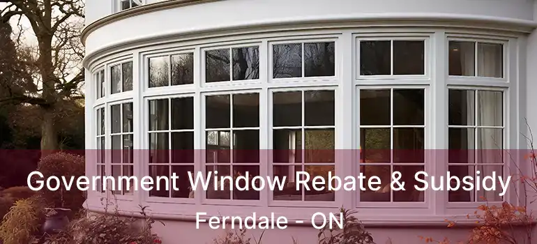 Government Window Rebate & Subsidy Ferndale - ON
