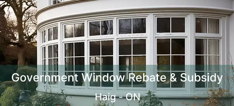 Government Window Rebate & Subsidy Haig - ON